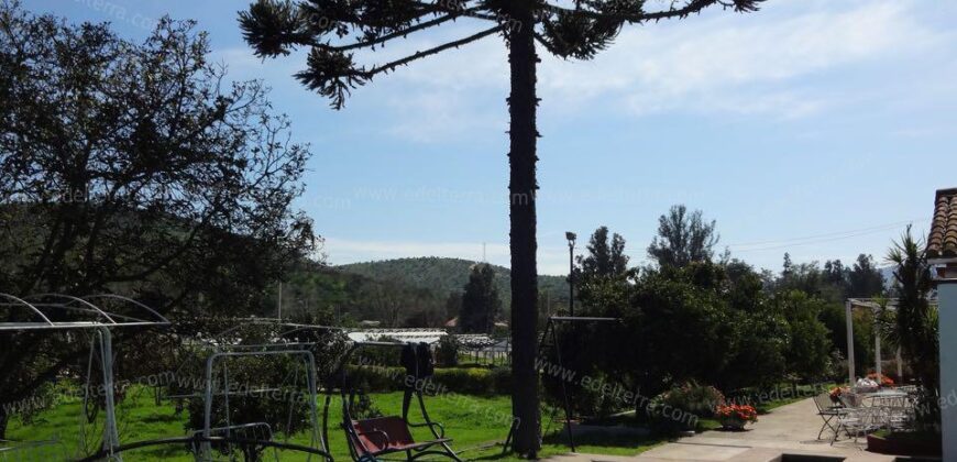 Venta: Propiedad Industrial-Agrícola y Residencial en Limache (20.000 m2)