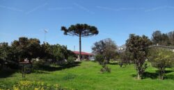 Venta: Propiedad Industrial-Agrícola y Residencial en Limache (20.000 m2)