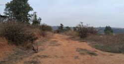 Parcela de 5.000 m² en Fundo Cajón de Lebu: Proyecto con Base Avanzada y Gran Conectividad