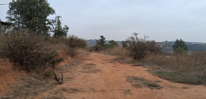 Parcela de 5.000 m² en Fundo Cajón de Lebu: Proyecto con Base Avanzada y Gran Conectividad