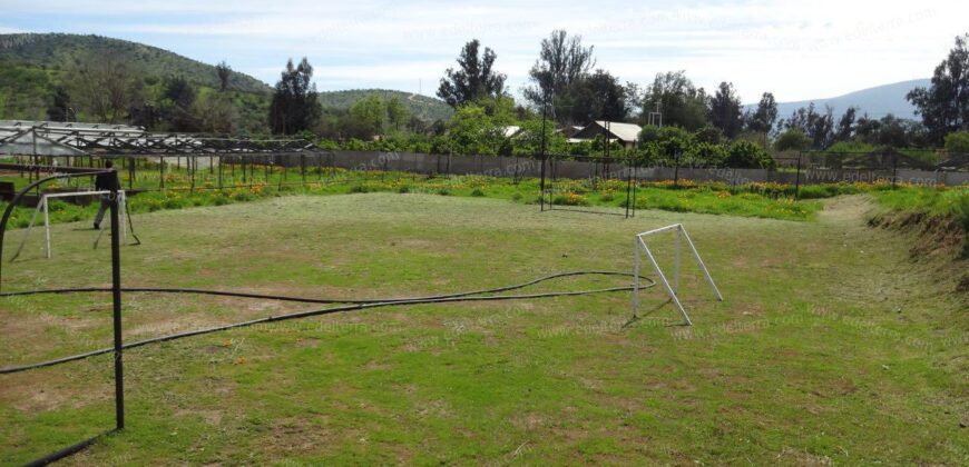 Venta: Propiedad Industrial-Agrícola y Residencial en Limache (20.000 m2)