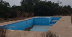 Oportunidad en Papudo: Gran propiedad de 30.000 m² con piscina en sector El Tome