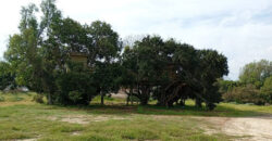 Oportunidad en Papudo: Gran propiedad de 30.000 m² con piscina en sector El Tome