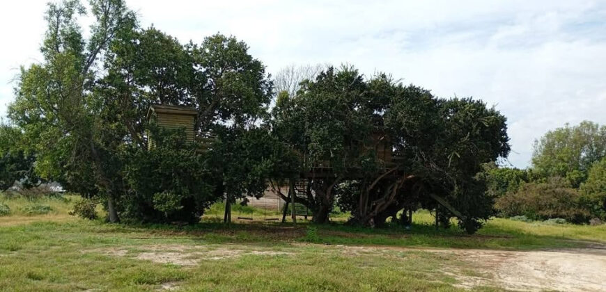 Oportunidad en Papudo: Gran propiedad de 30.000 m² con piscina en sector El Tome