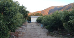 Venta Individual: 3 Parcelas en Lo Rojas, La Cruz – Con Proyección Agrícola y Alta Plusvalía