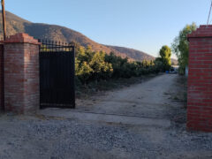 Venta Individual: 3 Parcelas en Lo Rojas, La Cruz – Con Proyección Agrícola y Alta Plusvalía