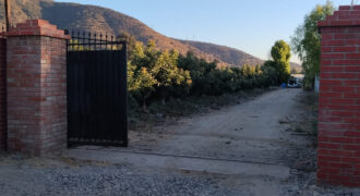Venta Individual: 3 Parcelas en Lo Rojas, La Cruz – Con Proyección Agrícola y Alta Plusvalía