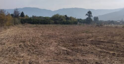 Venta Individual: 3 Parcelas en Lo Rojas, La Cruz – Con Proyección Agrícola y Alta Plusvalía