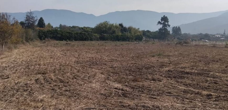 Venta Individual: 3 Parcelas en Lo Rojas, La Cruz – Con Proyección Agrícola y Alta Plusvalía